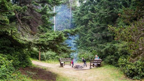 Two people gather around a campfire in a forest clearing, surrounded by tall trees and greenery.