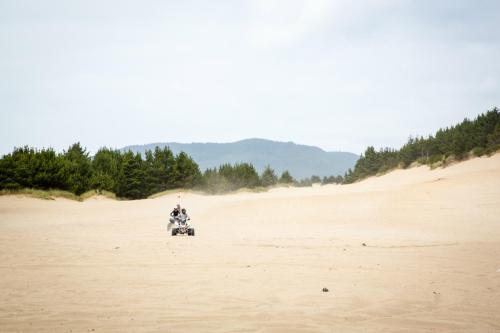 A person riding an ATV through sandy dunes with green trees and mountains in the background.