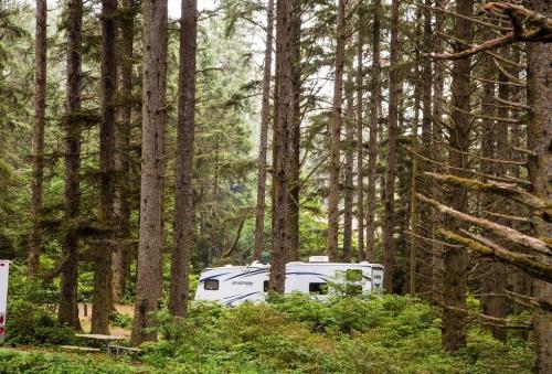A white RV nestled among tall trees in a lush forest setting.