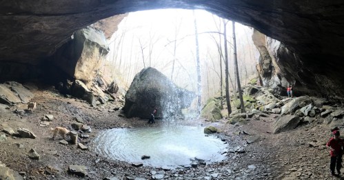 A cave opening reveals a serene landscape with a small pool of water and trees in the background.