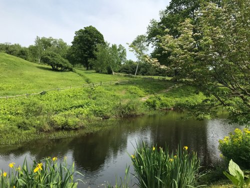 A serene landscape featuring a calm pond, lush greenery, trees, and blooming flowers under a clear sky.