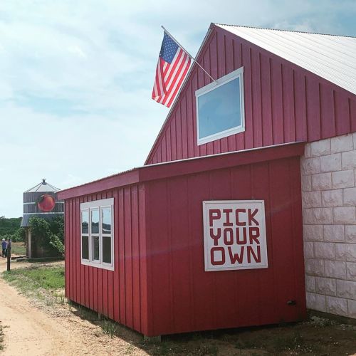 Red barn with a "Pick Your Own" sign and an American flag, set against a clear blue sky.