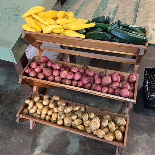 A wooden display rack with yellow squash, zucchini, and two types of potatoes arranged in three tiers.