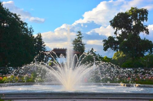 A fountain sprays water in a garden, surrounded by lush greenery and colorful flowers under a blue sky with clouds.