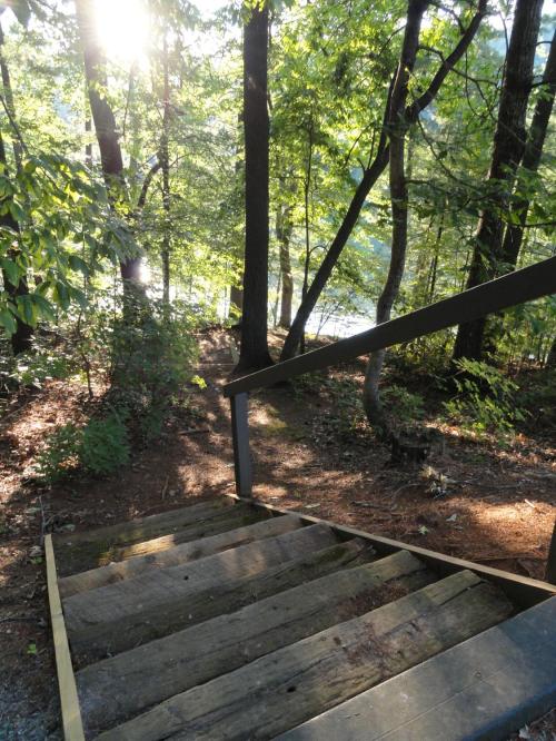Wooden stairs lead down through trees to a serene lakeside, with sunlight filtering through the foliage.