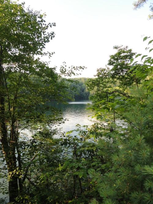 A serene view of a lake surrounded by lush green trees and foliage under a clear sky.