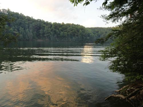 Serene lake scene with calm waters reflecting trees and a cloudy sky, surrounded by lush green hills.