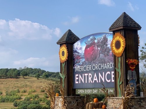 Sign for Mercier Orchard with a large apple graphic, surrounded by sunflowers, set against a scenic landscape.