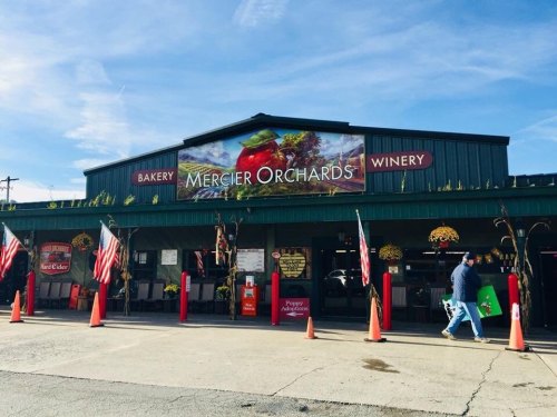 Exterior of Mercier Orchards featuring a bakery and winery, with flags and autumn decorations.