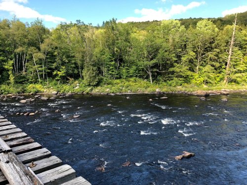A serene river flows through a lush green landscape, with trees lining the banks under a clear blue sky.