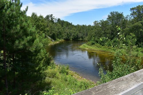 A serene river flows through lush greenery under a clear blue sky, surrounded by trees and plants.