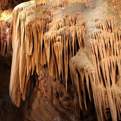 Stalactites hanging from a cave ceiling, showcasing intricate textures and warm lighting.