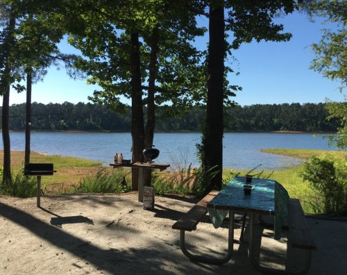 A serene lakeside view with a picnic table and grill surrounded by trees on a sunny day.