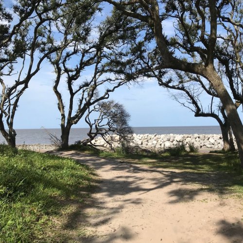 A sandy path framed by trees leads to a calm sea and rocky shoreline under a clear blue sky.