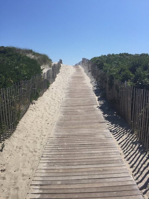 A wooden boardwalk leads through sandy dunes, flanked by greenery, under a clear blue sky.