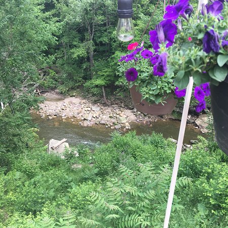 A serene view of a river surrounded by lush greenery and hanging flower pots with purple blooms.