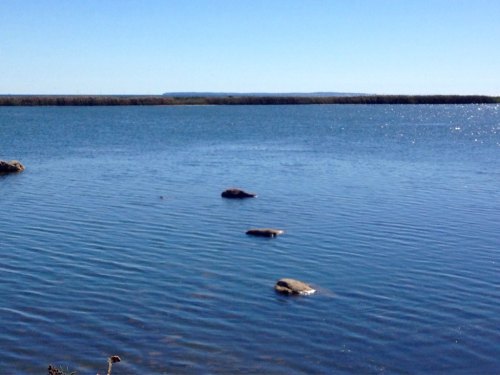 Calm water with a few rocks visible, under a clear blue sky and distant land on the horizon.
