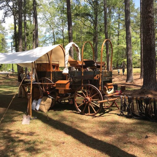 A vintage wagon with a canopy, surrounded by trees, set up in a grassy area for an outdoor event.