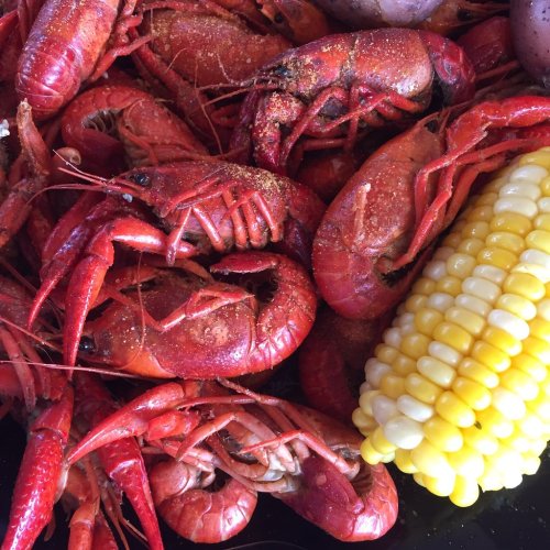 A close-up of cooked crawfish with spices, alongside a cob of corn and some potatoes.