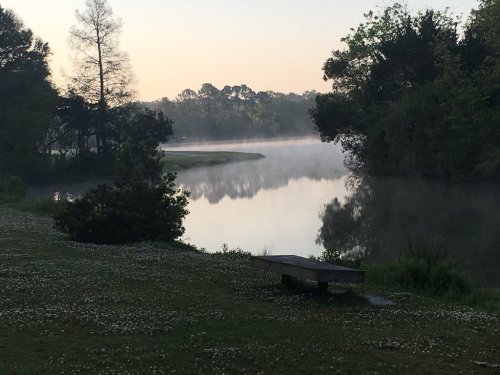 A serene morning scene by a misty river, surrounded by trees and lush greenery.