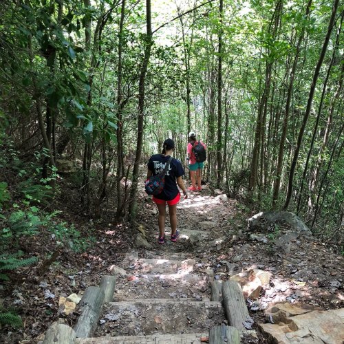 Two hikers descend a rocky trail surrounded by lush green trees and foliage.