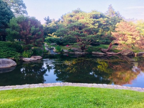 A serene pond surrounded by lush greenery and trees, reflecting the landscape in calm water.