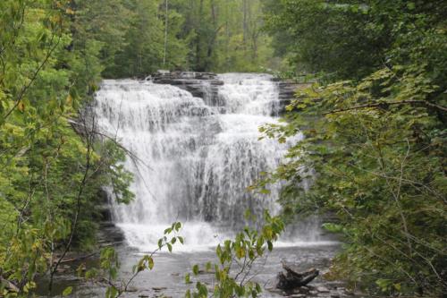 A serene waterfall cascades over rocks, surrounded by lush green trees and foliage.