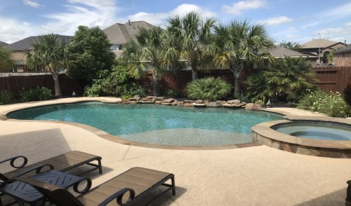A serene backyard pool surrounded by palm trees and lush greenery under a blue sky with fluffy clouds.