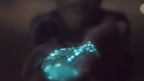 A person holds a glowing, bioluminescent substance in their hand, illuminated in a dark setting.