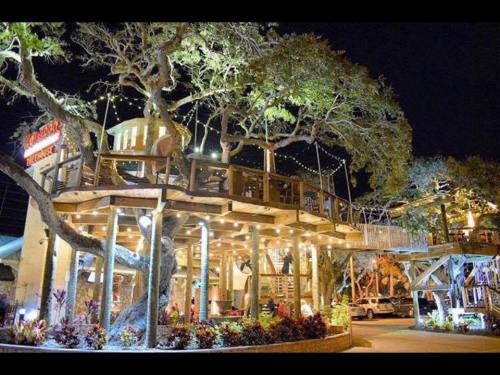 A beautifully lit treehouse restaurant at night, surrounded by trees and vibrant landscaping.