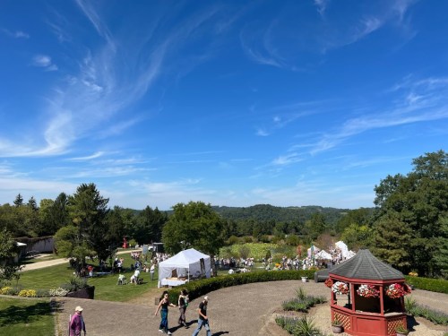 A sunny outdoor event with tents, people walking, and lush greenery under a blue sky with wispy clouds.