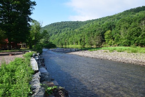A serene river flows through a lush green landscape, bordered by trees and rocky banks under a clear blue sky.