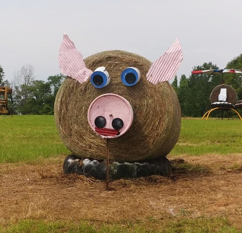 A hay bale decorated as a pig with blue eyes, pink ears, and a snout, set in a grassy field.