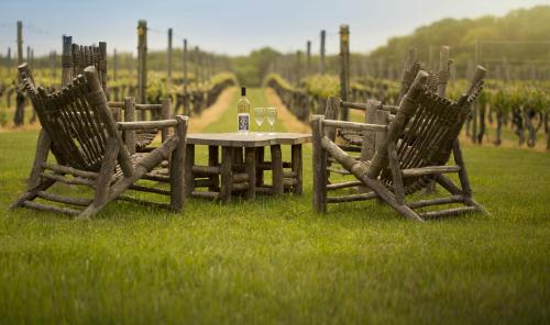 A rustic seating area with wooden chairs and a table, set in a vineyard with rows of grapevines in the background.