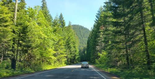 A car drives along a scenic road surrounded by tall green trees and mountains under a clear blue sky.