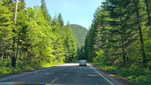 A scenic road surrounded by lush green trees and mountains under a clear blue sky.