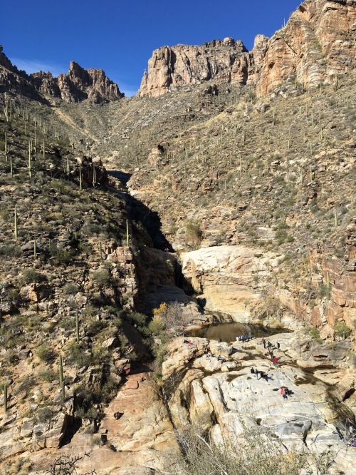 A rocky canyon landscape with a stream, surrounded by tall mountains and cacti under a clear blue sky.