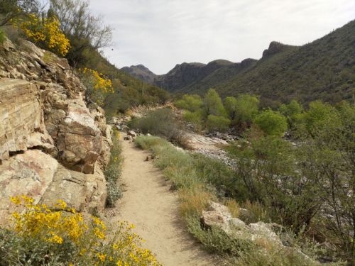 A scenic trail lined with rocks and wildflowers, winding through a lush green valley with mountains in the background.