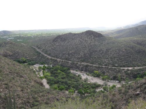 A scenic view of rolling hills and a winding road, surrounded by sparse vegetation and scattered trees.