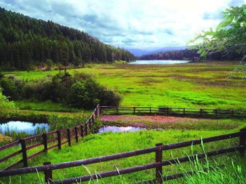 A serene landscape featuring a lake surrounded by lush greenery and trees, with a wooden fence in the foreground.
