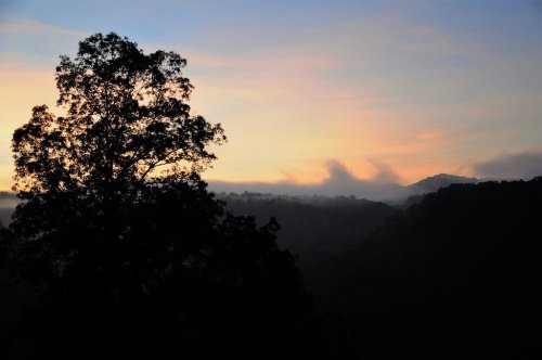 Silhouette of a tree against a colorful sunset sky with misty mountains in the background.