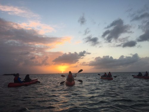 A group of kayakers paddles on water at sunset, with colorful clouds and a serene atmosphere.