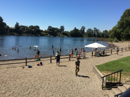 A sunny beach scene with people swimming and playing by a river, surrounded by trees and a white tent.