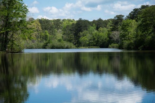 A serene lake surrounded by lush greenery and trees, reflecting the blue sky and clouds above.