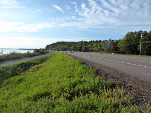 A scenic view of a road alongside a grassy area and trees, with a clear blue sky and distant vehicles.