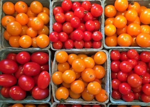 A variety of colorful tomatoes in small containers, featuring red, orange, and yellow hues.