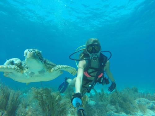 A diver in a pink swimsuit takes a selfie with a sea turtle underwater, surrounded by blue water and marine plants.