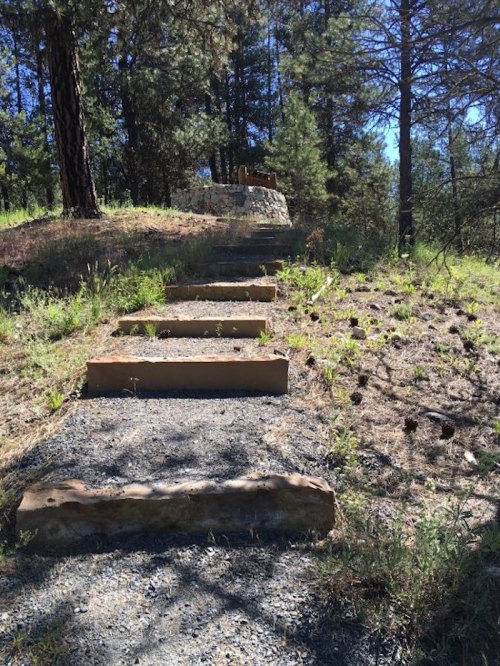 Stone steps lead up a grassy path through a forest, surrounded by tall trees and sunlight filtering through the leaves.