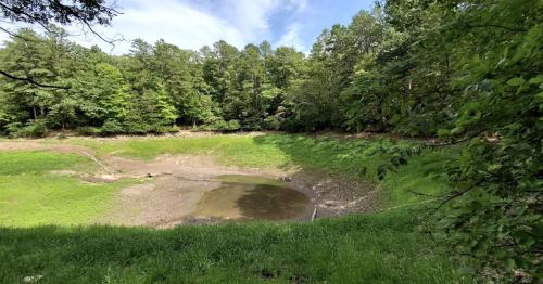 A dry, grassy area with a small pond surrounded by trees under a blue sky.