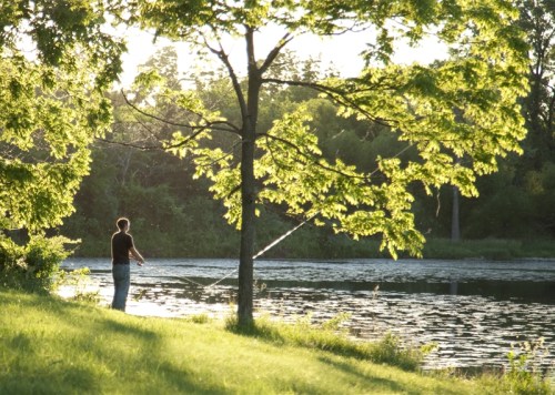 A person fishing by a serene lake, surrounded by lush greenery and sunlight filtering through the trees.